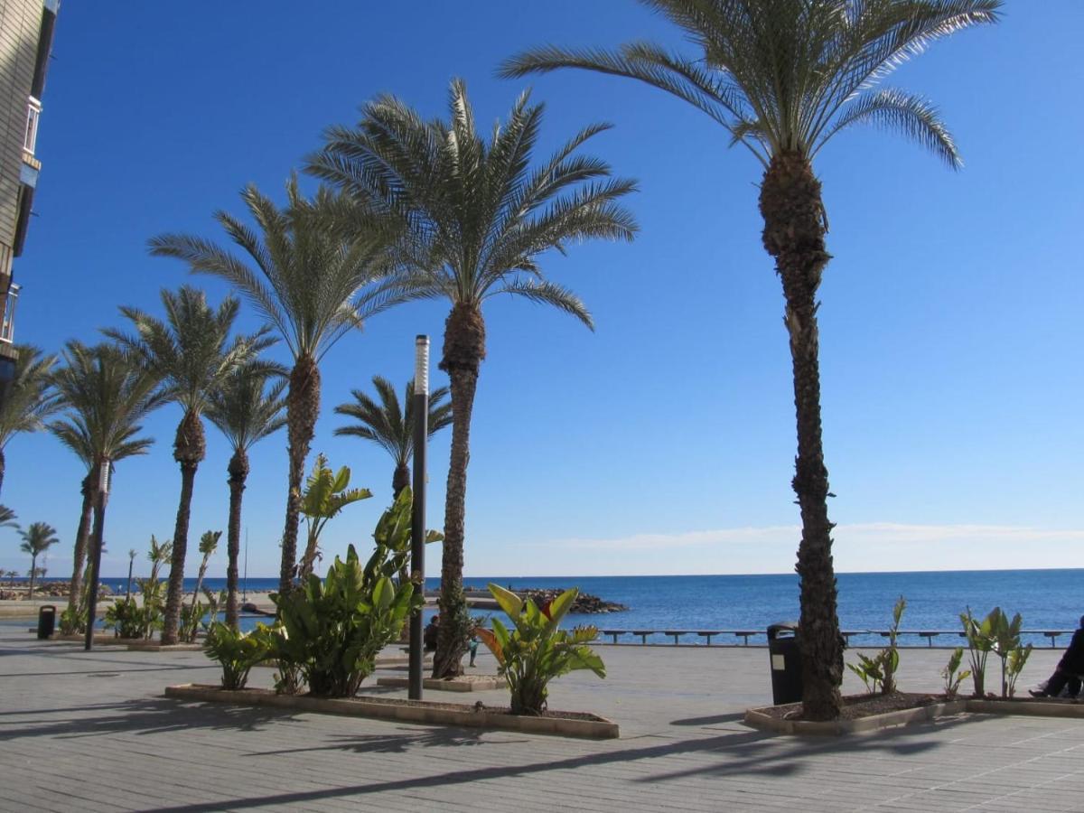 Tango Mango Apartment! Plaza 5 Min, Basen! Torrevieja Exterior foto